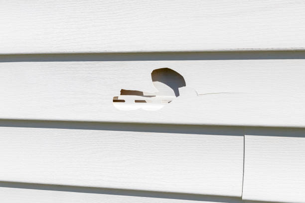 Trusted Newberry, SC Siding Services Experts